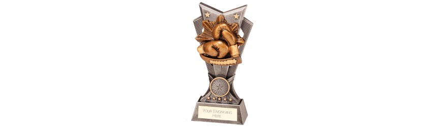 SPECTRE BOXING RESIN TROPHY - 3 SIZES - 15CM - 20CM